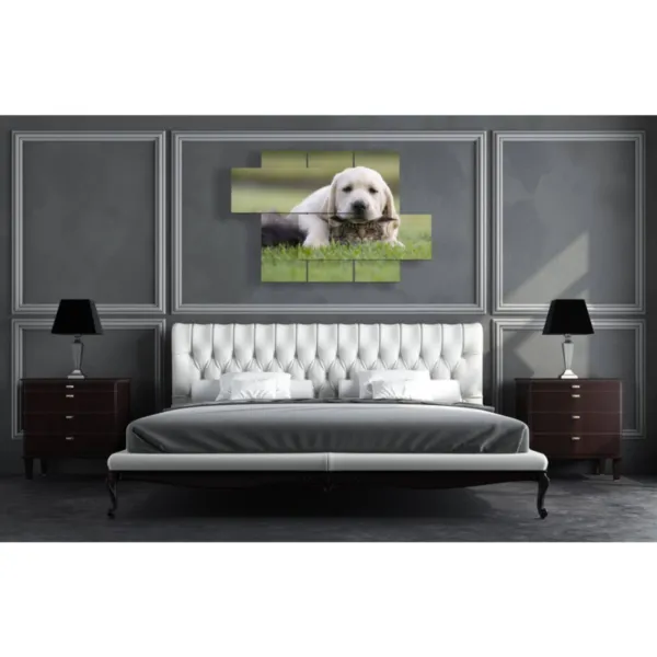 arte murale di cani e gatti