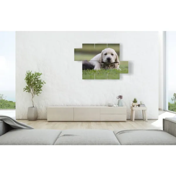 arredi con quadri di cani e gatti