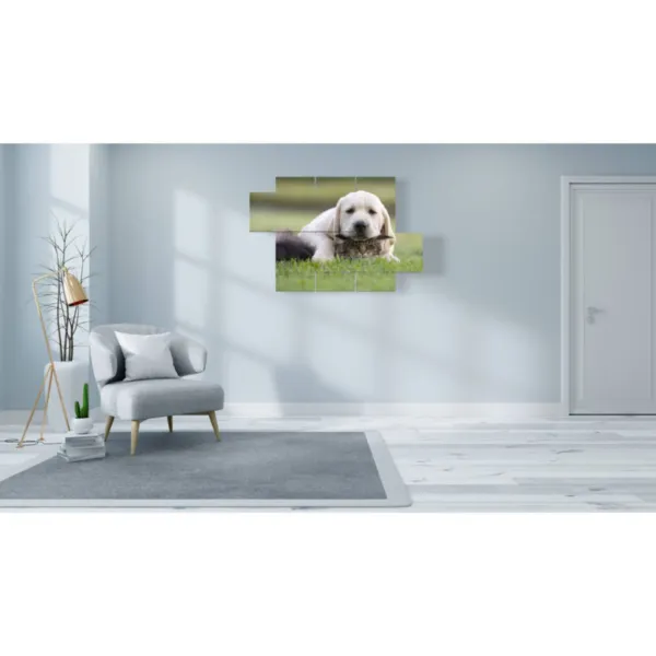 quadri moderni di animali