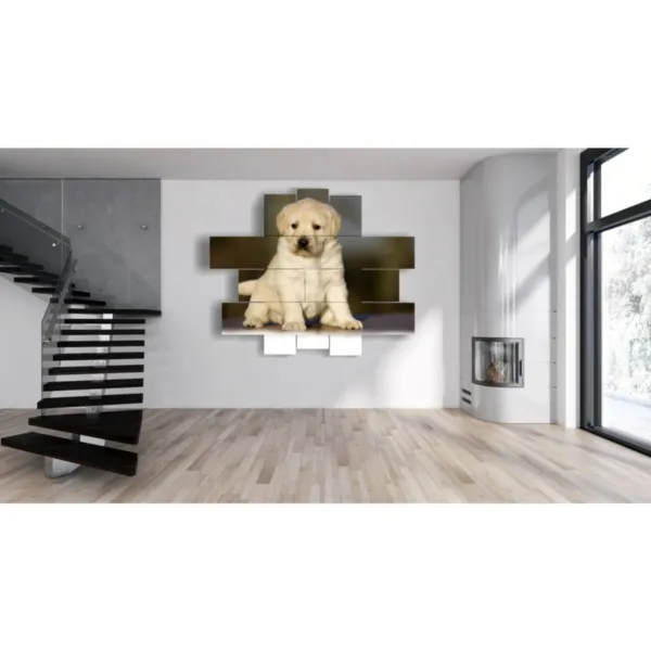 Impresiones con perro cachorro