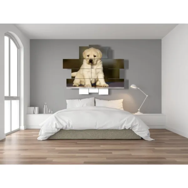 quadri con cane moderni