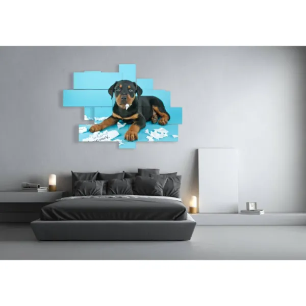 modern dog decoration