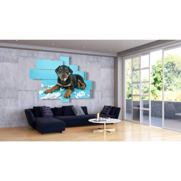 Decoraciones para perros modernas