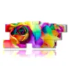 abstract flowers paintings of petals thousand colors - version: 13 pannelli 239x101cm