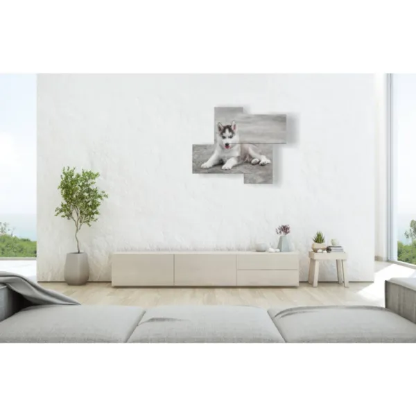 stampe artistiche cane