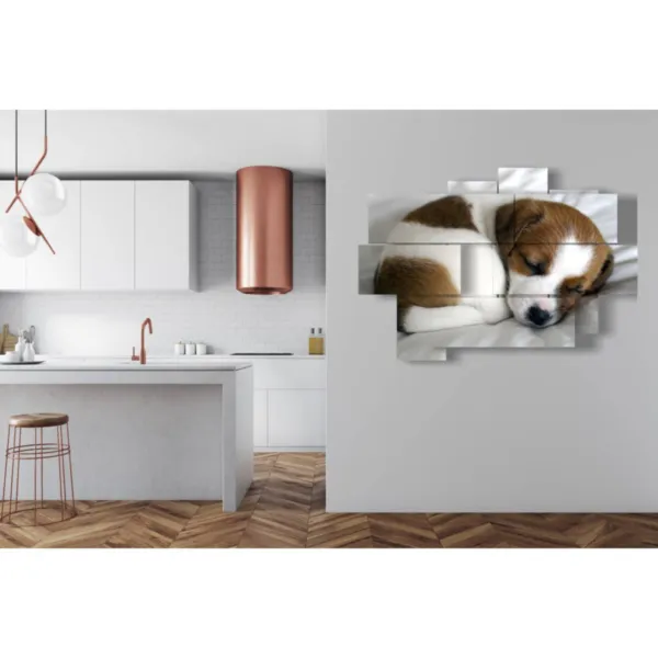 Imágenes impresas con perros