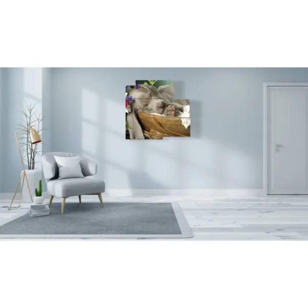 Impresiones de perro