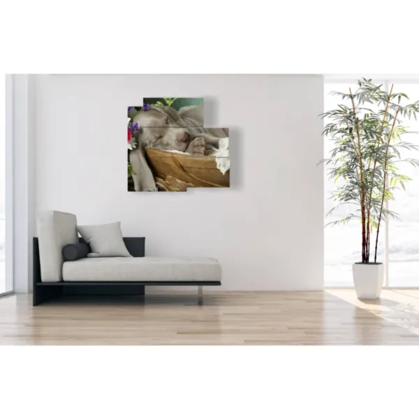 decoraciones para perros