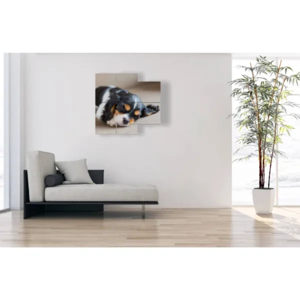 Impresiones de pata de perro