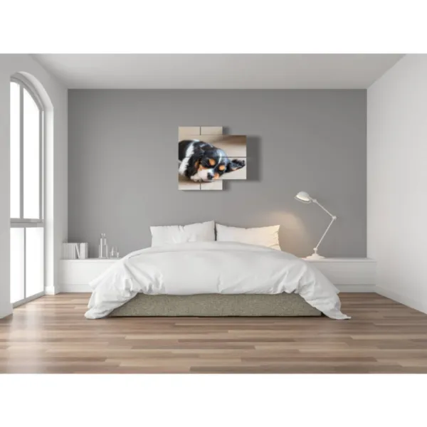 decoraciones pata de perro