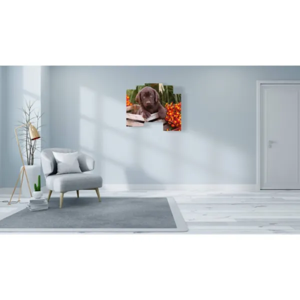 Impresiones de perro