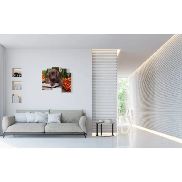 decoraciones para perros