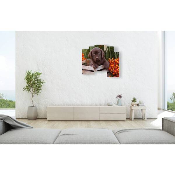 tableau de chien dans une corbeille de fleurs