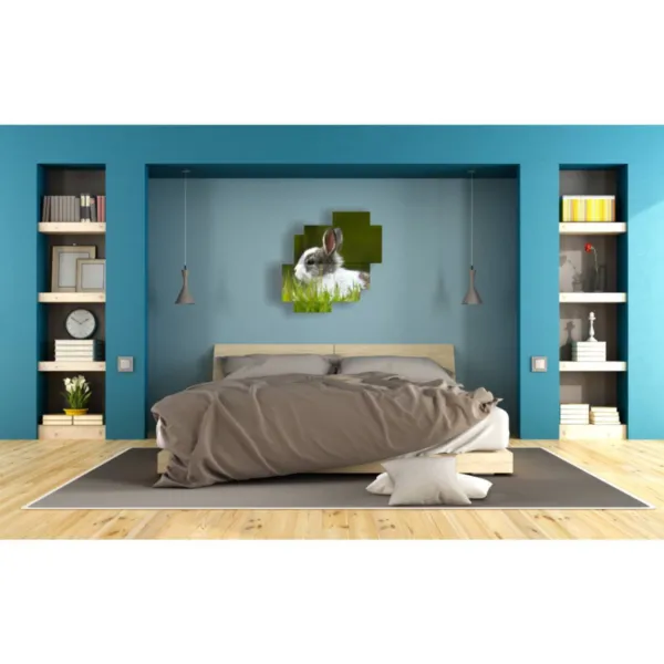 Cute animal pictures for kids'' rooms