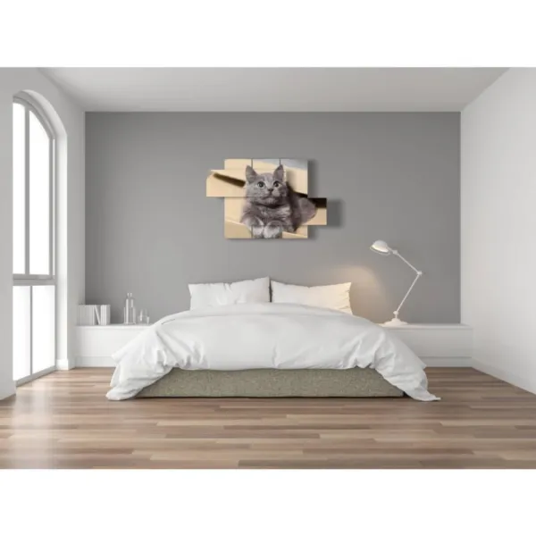 decorazioni gatti