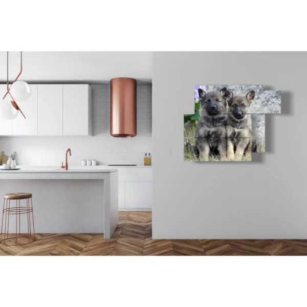 impressions de chiens