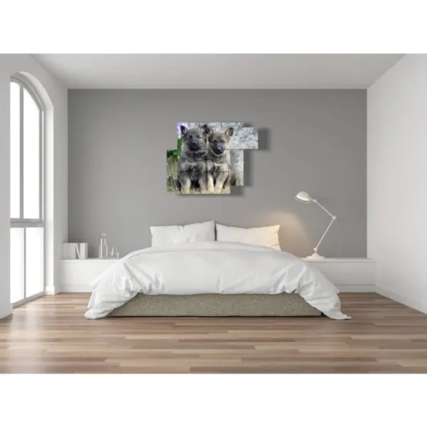 Impression de chiens