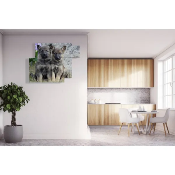 impressions d''animaux