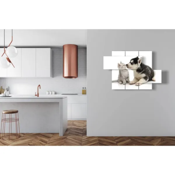 Poster of dogs and cats