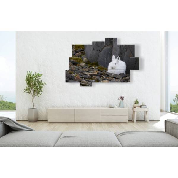 images tableaux animaux lapin blanc