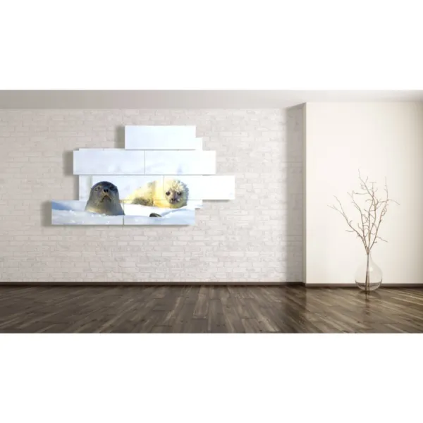 mobilier pour animaux