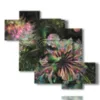 quadri di fiori astratti in bolle luminose - version: 6 pannelli 127x110cm