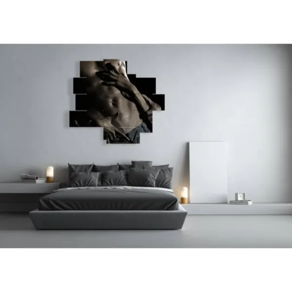 tableaux de nus abstraits