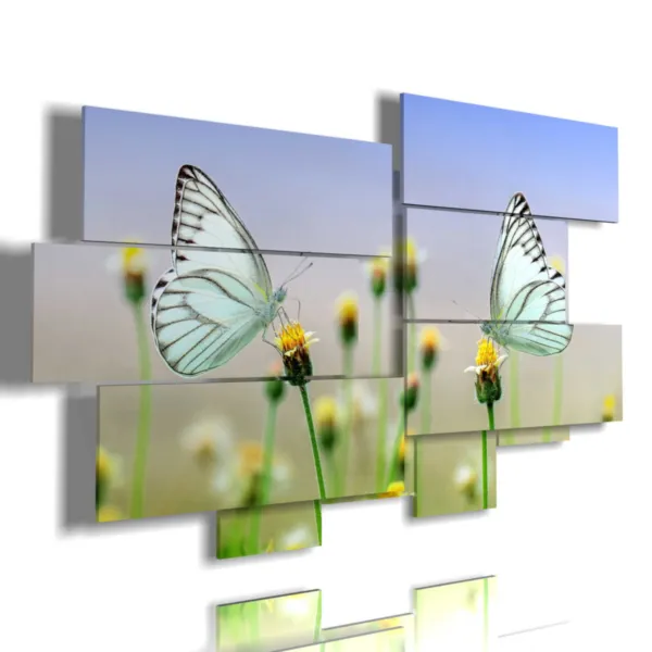 Beautiful picture of butterflies