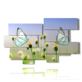 tableaux de papillons