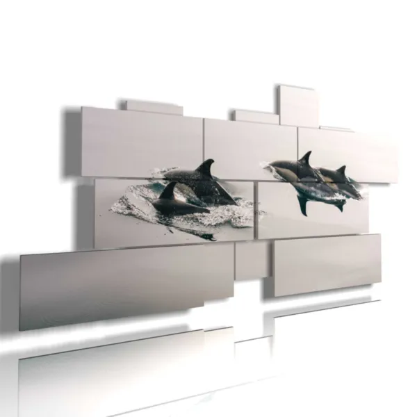 Cuadros con imágenes de peces y orcas.