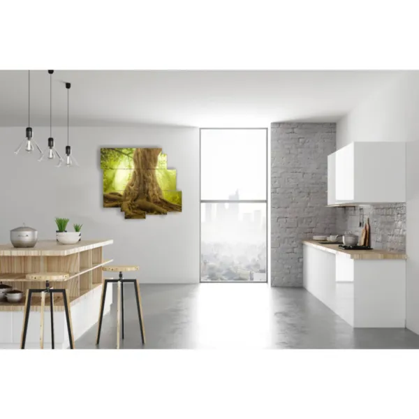 Bilder mit Bäumen und majestätischen Baumstämmen