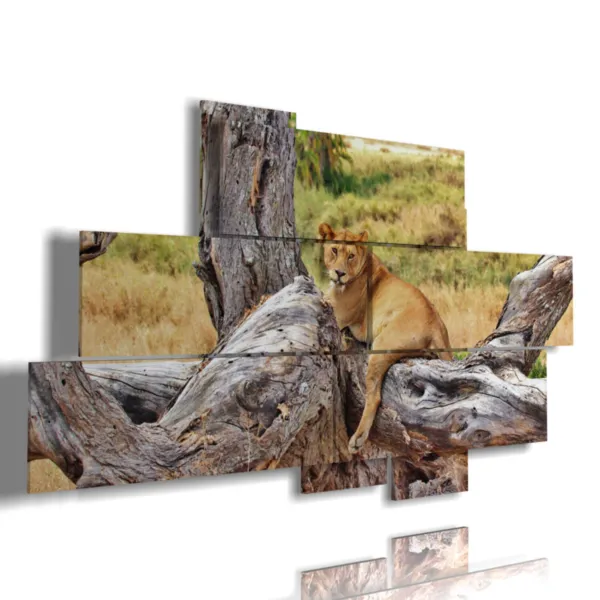 Paintings of a lion relaxing