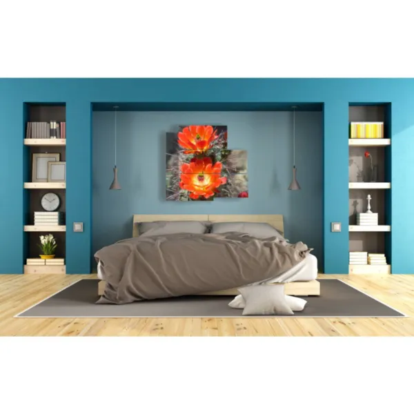 Cuadros modernos con plantas suculentas