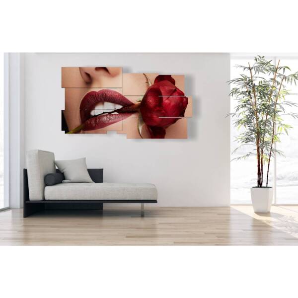 tableaux avec des photos sensuelles de la bouche d'une rose rouge