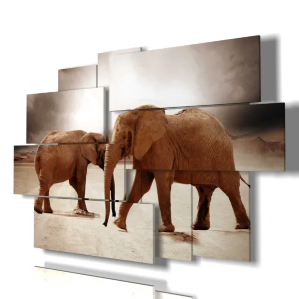 sangles d''éléphants