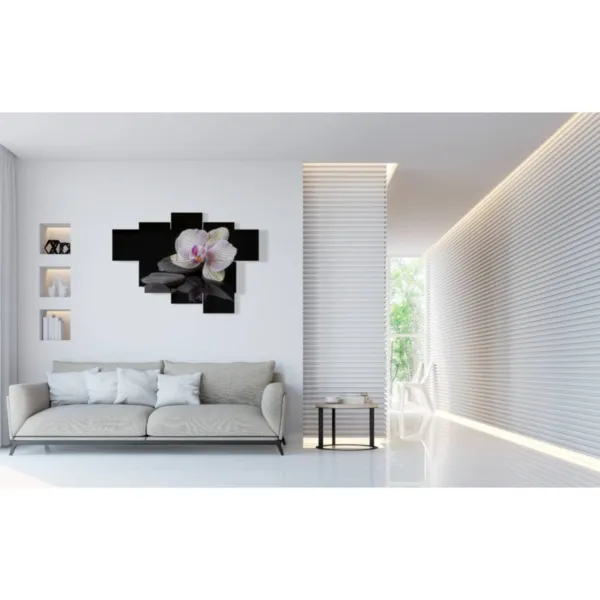 Decorative orchid pictures