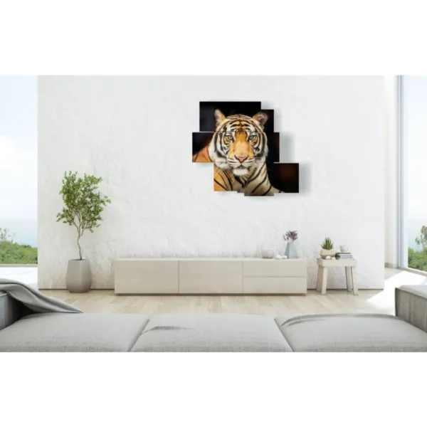''Tiger murals''