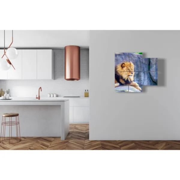 Paintings with a lion