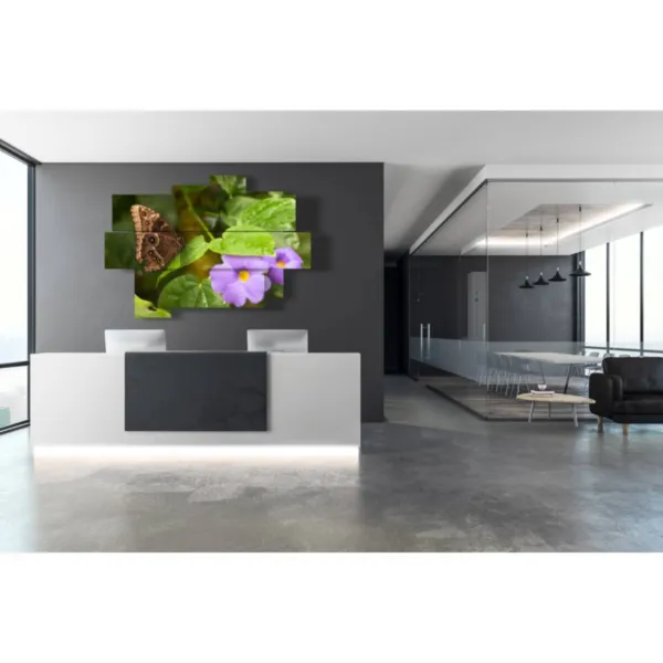 Decoración de mariposas