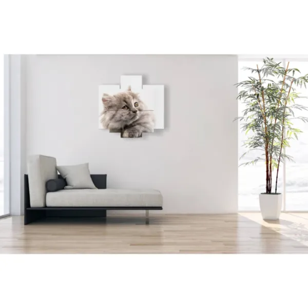 Tableaux avec un chat gris