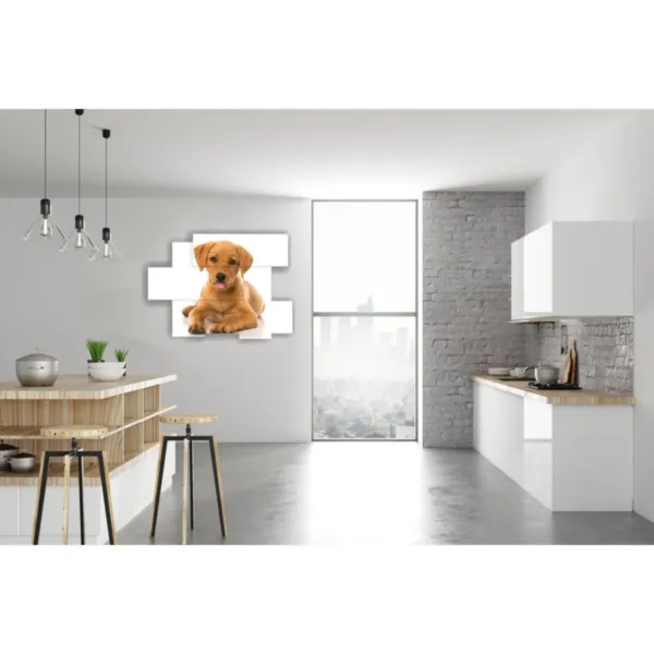 Impresiones de perros