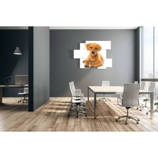 Decoraciones para perros