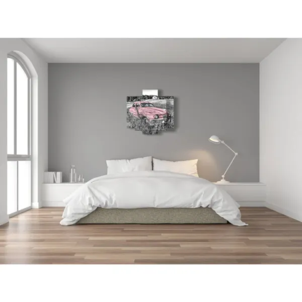 Cuadros decorativos para automóviles usados