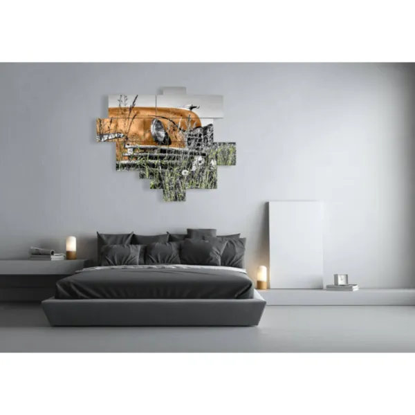 Paintings of car frames