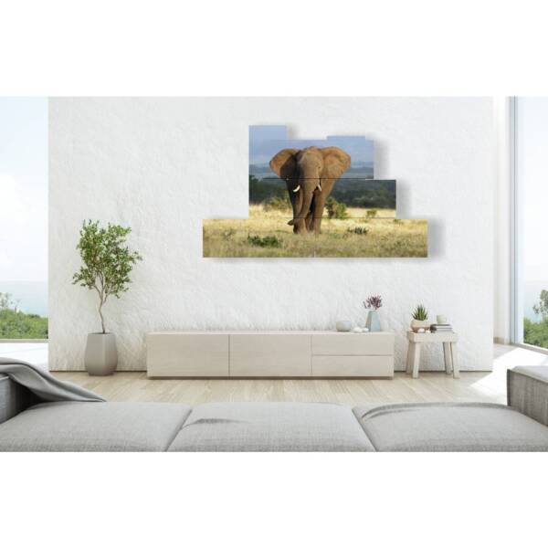 quadri con elefanti nella savana