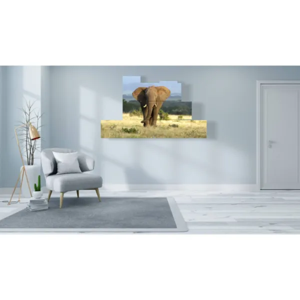 paintings of elephants