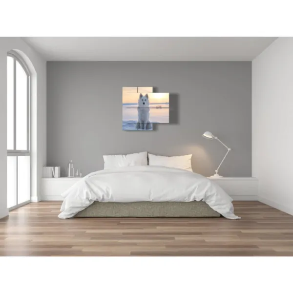 Cuadros de un perro al atardecer