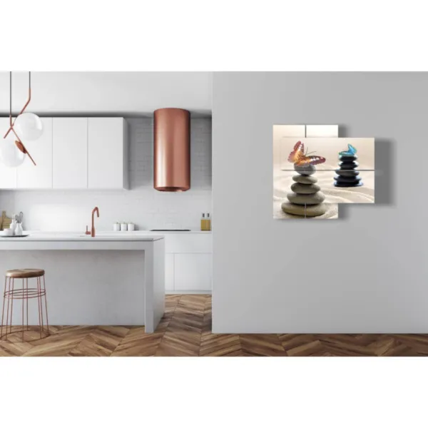 butterfly and pebble poster