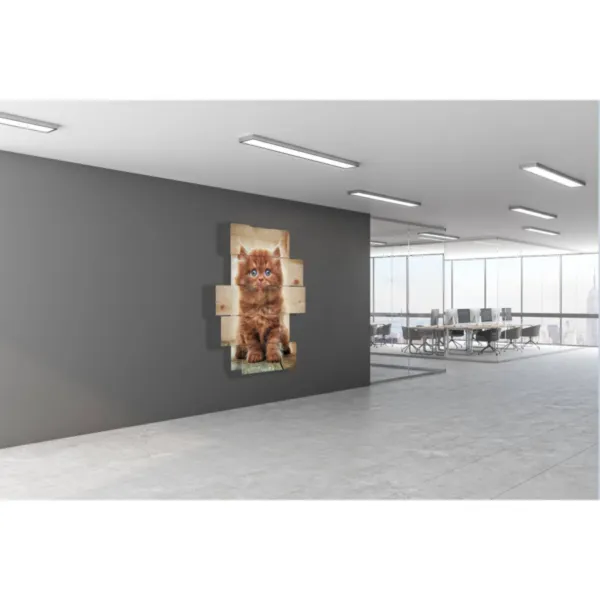 decorazioni con gatti