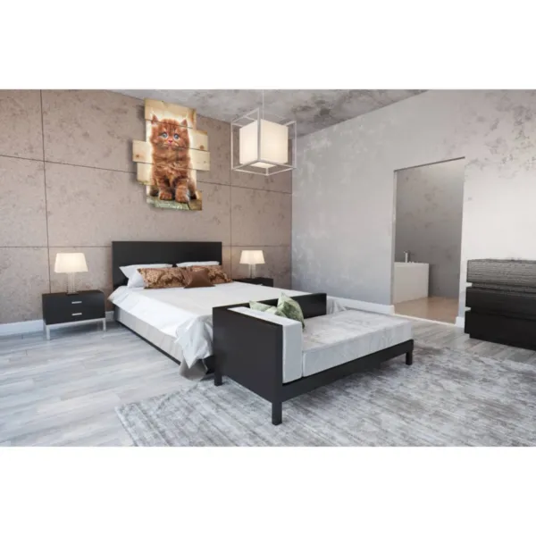 Sehr schöne Bilder mit Katzen